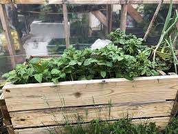 Free Compost Near Me Here Is How You Can Get Free Organic Compost Organic Compost Compost Garden Beds