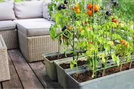 How much direct sunlight does your terrace get and at which time of the day? Vertical Vegetable Garden How To Grow Up True Value
