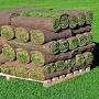 Colorado springs artificial turf for sale from www.facebook.com