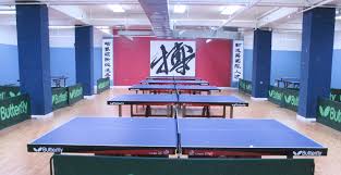 Only one challenge can be made at a time, if a challenger starts a game on another table the previous challenge will be void. New York International Table Tennis Center Nov 3 2019 Open Results