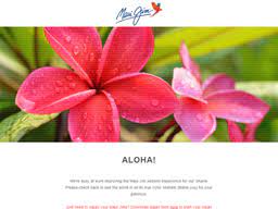 Where can i find maui jim coupons? Maui Jim Sunglasses Gift Card Balance Check Balance Enquiry Links Reviews Contact Social Terms And More Gcb Today
