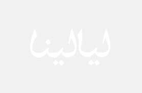 ستتحول شخصية إبراهيم تشيليكول / مهدي إلى النقيض تماماً، حيث ستنجب منه زينب طفلة و ستعمل في المحاماة و ستصبح محامية ناجحة، و لكن مهدي في المقابل سيتحول لرجل سكير مدمن كحول يلعب القمار، سيهمل زوجته و يخونها، و ستتولى زينب الانفاق على البيت و الاسرة و ستتحمل لأقصى درجة كي. ØµÙˆØ± Ø§Ø¨Ø±Ø§Ù‡ÙŠÙ… ØªØ´ÙŠÙ„ÙŠÙƒÙˆÙ„ Ø¨Ø·Ù„ Ø­Ø¨ Ø£Ø¨ÙŠØ¶ ÙˆØ£Ø³ÙˆØ¯ Ù…Ø¹ Ø²ÙˆØ¬ØªÙ‡ ØªØ´Ø¹Ù„ ØºÙŠØ±Ø© Ø§Ù„Ø¬Ù…Ù‡ÙˆØ± Ø§Ø®Ø¨Ø§Ø±