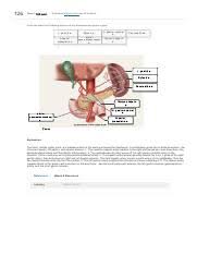 We will include an analysis of the normal doppler waveforms of the abdominal vessels. Ahcdw16notes14 14 Award 1 00 Point Problems Adjust Credit For All Students Correctly Label The Following Major Systemic Arteries Inferior Hepatic Course Hero