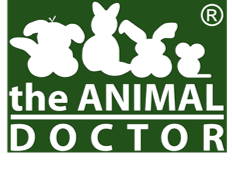 Services range from wellness and routine examinations to diagnostics and treatment on both an. Home Animal Medical Center Of Crystal Lake