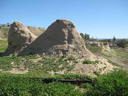 You will find it there. El Rosario The First Dominican Mission In Baja California Baja Travel Adventures