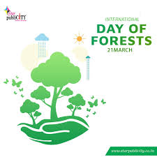 1 2 3 Plant A Tree All You Need Is A Forest Be Safe And Protect Forests Star Publicity In 2020 Home Decor Decals All You Need Is Decor