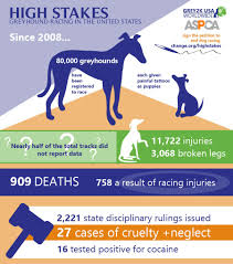 Sign And Share The Truth About Greyhound Racing In The Us Http Grey2kusa Org Highstakes Highstakes Greyhounds Greyh Greyhound Greyhounds Racing Broken Leg