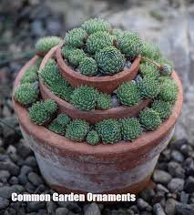 Some Of The Common Garden Ornaments Explored 2020 Etli Yaprakli Bitkiler Etli Yaprakli Bitki Bahcesi Saksi Bitkileri