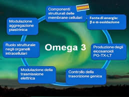 Natural sources and importance in pediatric gromova о.а.1, torshin i.yu.2, zakharova i.n.3, tomilova i.k.1, galustyan a.n.4. Una Dieta Ricca Di Omega 6 E Omega 3 Protegge Dall Infarto Blog E Notizie Per Il Podista Running Podismo Podistidoc Itblog E Notizie Per Il Podista Running Podismo Podistidoc It