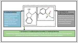 Image result for Indapamide