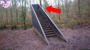 Stairs In The Woods Phenomenon Is Freaking People Out From The Strange Discovery Of Stairs In The Wo Stairs In The Woods Stairs In The Forest Us Forest Service