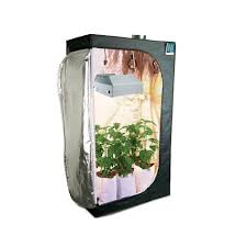 2x3 Grow Tent Kit With Ceramic Metal Halide Cmh Grow Light And Organic Soil Htg Supply