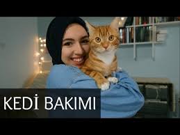 Annem Evde Kedi Istemiyor Kedi Bakimi Zor Mu Youtube
