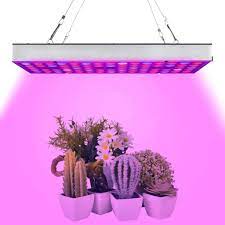 Can plants grow under black light. What Is The Effect Of Black Light On Plants