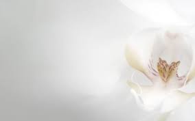 147,118 wedding background stock video clips in 4k and hd for creative projects. Wood Wedding Albums 41400 Wedding Background Wallpaper Wallpaper Wedding Wedding Background Images