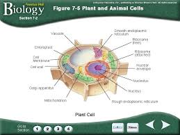 Maybe you would like to learn more about one of these? Happy Monday Today Were Going To Start Talking