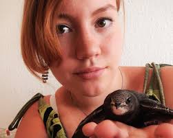 Pflegemutter für Schwalben, Segler, Meise : 08.08.2015, 13.03 Uhr