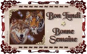 Https Encrypted Tbn0 Gstatic Com Images Q Tbn 3aand9gct4upqycoo1wt5a8m6i43c6iusc4gvcep9n2a Usqp Cau
