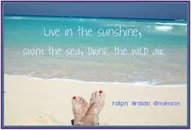 Logged in users can submit quotes. Life At The Sandcastle Favorite Beachy Quotes Holiday Quotes Summer Summer Beach Quotes Family Vacation Quotes