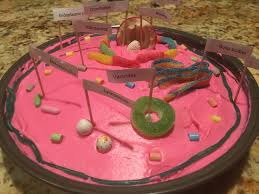 Cake 7th grade animal cell model. 7th Grade Edible Animal Cell Edible Animal Cell Animal Cell Edible