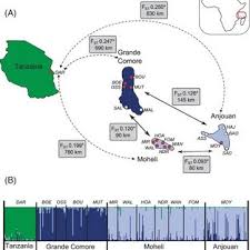 883x675 / 88 kb go to map. A Map Of Study Area In Tanzania And The Comoros Islands Tanzania Is Download Scientific Diagram