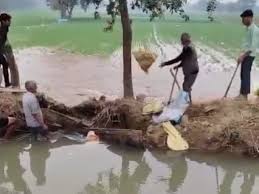 Latest Sadabad News (सादाबाद न्यूज़): पढ़ें 27 दिसम्बर के ताज़ा समाचार  दैनिक भास्कर पर