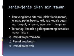 Ikan air tawar ini terkenal dengan gizinya, terutama karena kaya fosfor. Ternakan Ikan Air Tawar Ting 2