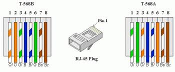 Nowdays ethernet is a most common networking standard for lan local area network communication. Cat 6 Plug Wiring Diagram Coil Wire Diagram Bege Wiring Diagram