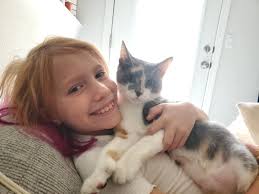 Lost Cat in Blount County Alabama