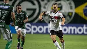 Flamengo e goiás se enfrentam na serrinha pelo campeonato brasileiro imagem: Hkpepq77btxpwm