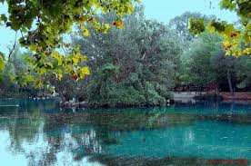 Resultado de imagen de El Lago de Anna