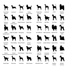 Floral Dog Breed Women S T Shirt Personalized Dog Breeds Dog Names Dog Breeds List