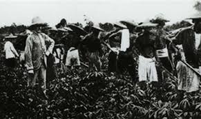 Economic indicators for malaysia including actual values, historical data, and latest data updates for the malaysia economy. Malaysia S Structural Economic Change Past Present And Future Articles Economic History Malaya