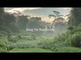 The trail itself begins at mandai road near the singapore zoo, and ends at the chestnut trail and carpark. This Is Clementi Forest Youtube