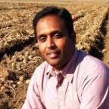 Glycoalkaloids in Potato Tubers