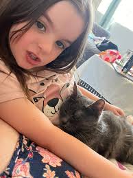 Ladies and Gentlemen, for my first post (OP), I humbly present Spunky. She  tolerated my petting her, until I Crossed The Line. “We're Friends, Spunky.  🥲” “We are… Until…” <<sigh>>