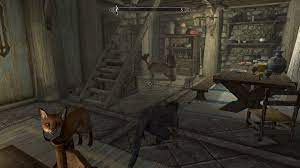 To make child adopt meeko. I M A Single Mother Of Two Children And We Two Foxes A Skeever And A Bone Wolf I Think We Need A Bigger House Skyrim