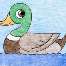 Drawing Gallery Art Projects For Kids Bird Drawing For Kids Bird Drawings Duck Art