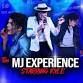 Mj Tribute Evening event image