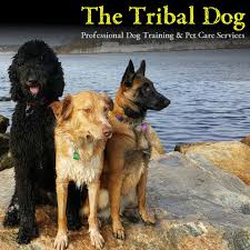 Check spelling or type a new query. Heart Of Gold Kennel Home Facebook
