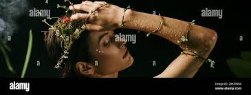 Misty dark swamp hi-res stock photography and images