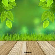 Aquatic Art Design Plant Background Flower Background Wallpaper Green Backgrounds Background Images