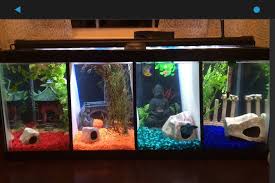 Imgur Betta Fish Tank Fish Tank Decorations Cool Fish Tanks