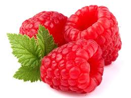 Diabetic dogs and those prone to weight gain should. Can Dogs Eat Raspberries 3 Famous Recipes Included