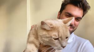 166 Cat Pat Stock Videos, Footage, & 4K Video Clips