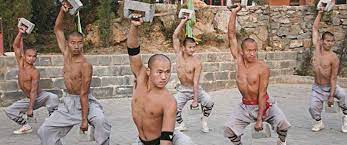 Mitxum chakraborti, kim, kalpana aieri and others. A Painful Pilgrimage To Shaolin Xianease