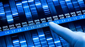 Familial pancreatic cancer includes inherited mutations are genetic changes passed from parent to child. Dsnxxlsjfjfvzm