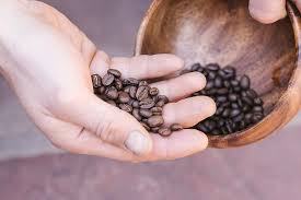 If you buy through these links on our site, we may earn an affiliate commission. Kion Organic Coffee Toxin And Mold Free Roasted To Maximize Health And Taste Medium Roast 12 Oz 1 Pack Buy Online In Australia At Desertcart Com Au Productid 82643033