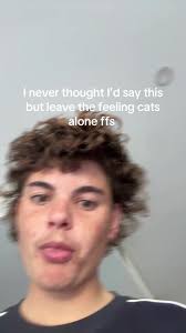 Geelong Supporter Kicked Out Woman