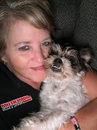 Introduction of a lap dog and travel companion, a Shih Tzu and long-haired  Chihuahua mix